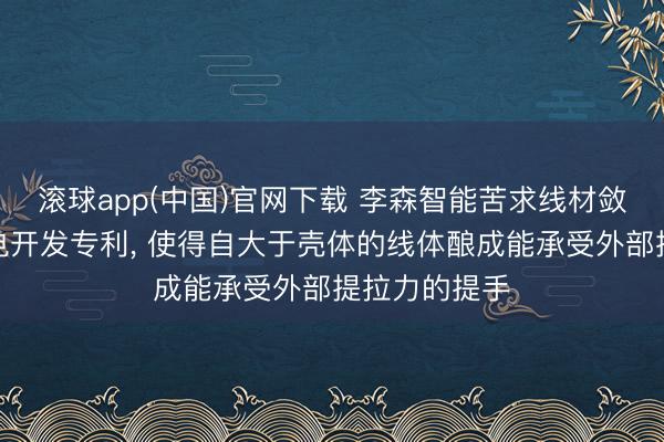 滚球app(中国)官网下载 李森智能苦求线材敛迹机构及充电开发专利， 使得自大于壳体的线体酿成能承受外部提拉力的提手