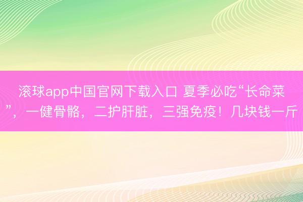 滚球app中国官网下载入口 夏季必吃“长命菜”,一健骨骼,二护肝脏,三强免疫!几块钱一斤