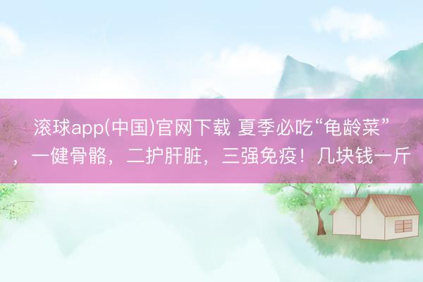 滚球app(中国)官网下载 夏季必吃“龟龄菜”，一健骨骼，二护肝脏，三强免疫！几块钱一斤