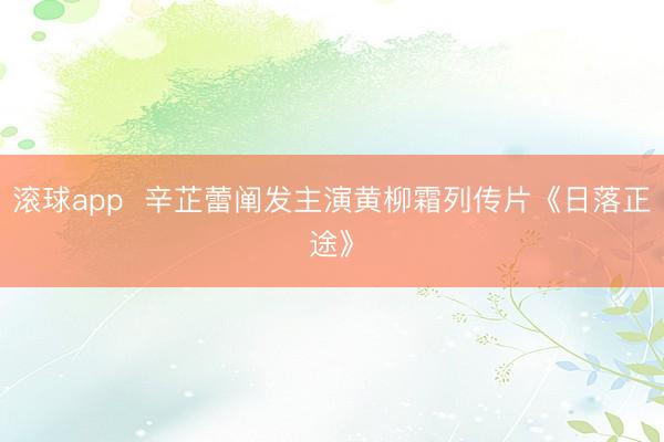滚球app  辛芷蕾阐发主演黄柳霜列传片《日落正途》
