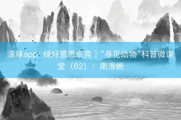 滚球app  绿好意思东莞｜“寻觅动物”科普微课堂（62）：南滑蜥