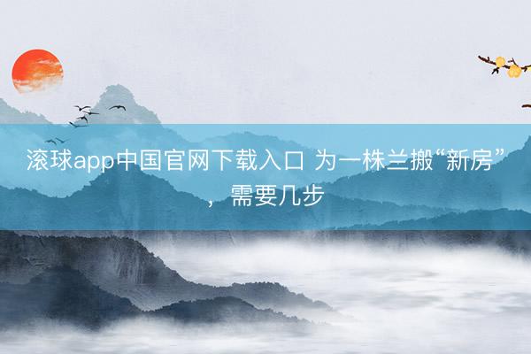 滚球app中国官网下载入口 为一株兰搬“新房”,需要几步