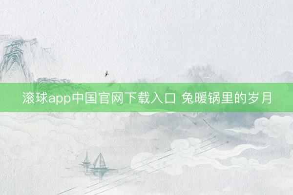 滚球app中国官网下载入口 兔暖锅里的岁月