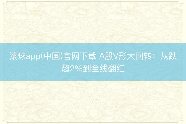 滚球app(中国)官网下载 A股V形大回转:从跌超2%到全线翻红