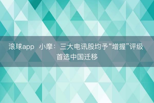 滚球app  小摩：三大电讯股均予“增握”评级 首选中国迁移