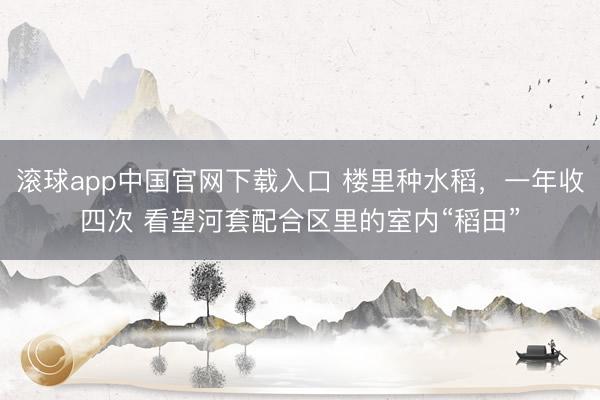 滚球app中国官网下载入口 楼里种水稻，一年收四次 看望河套配合区里的室内“稻田”