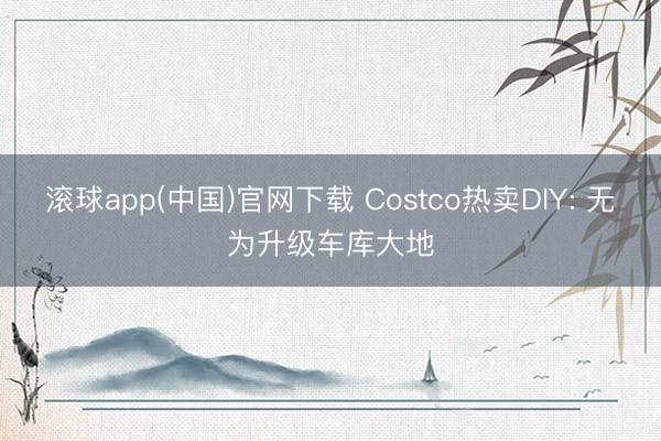 滚球app(中国)官网下载 Costco热卖DIY: 无为升级车库大地