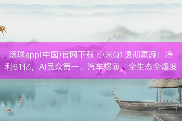 滚球app(中国)官网下载 小米Q1透彻赢麻！净利61亿，AI民众第一、汽车爆卖，全生态全爆发