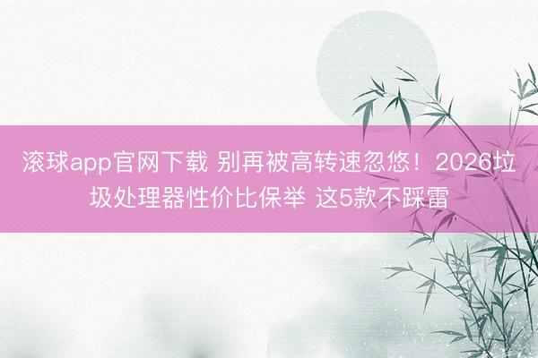 滚球app官网下载 别再被高转速忽悠！2026垃圾处理器性价比保举 这5款不踩雷