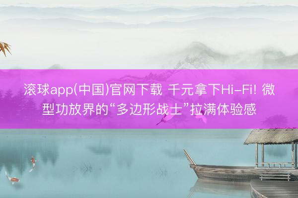 滚球app(中国)官网下载 千元拿下Hi-Fi! 微型功放界的“多边形战士”拉满体验感