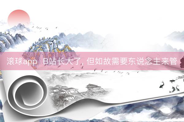 滚球app  B站长大了， 但如故需要东说念主来管