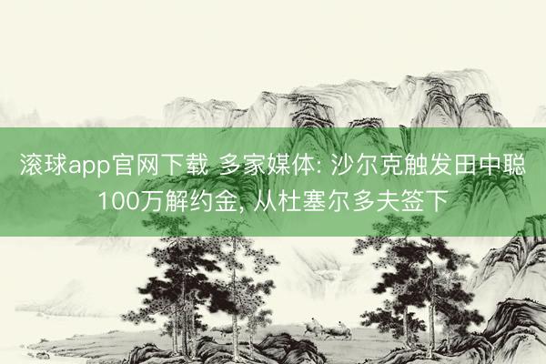 滚球app官网下载 多家媒体: 沙尔克触发田中聪100万解约金， 从杜塞尔多夫签下