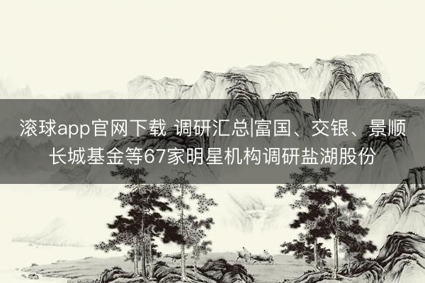 滚球app官网下载 调研汇总|富国、交银、景顺长城基金等67家明星机构调研盐湖股份