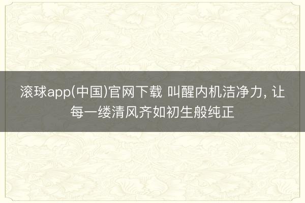 滚球app(中国)官网下载 叫醒内机洁净力, 让每一缕清风齐如初生般纯正