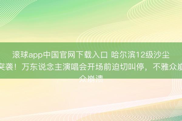滚球app中国官网下载入口 哈尔滨12级沙尘暴突袭！万东说念主演唱会开场前迫切叫停，不雅众崩溃