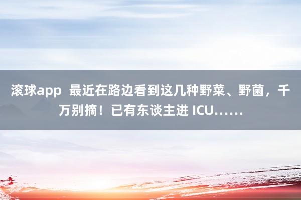 滚球app  最近在路边看到这几种野菜、野菌，千万别摘！已有东谈主进 ICU……