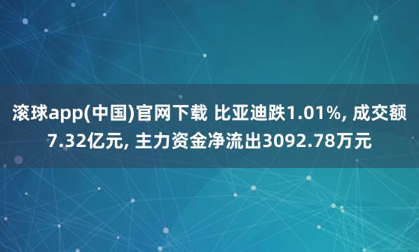 滚球app(中国)官网下载 比亚迪跌1.01%， 成交额7.32亿元， 主力资金净流出3092.78万元