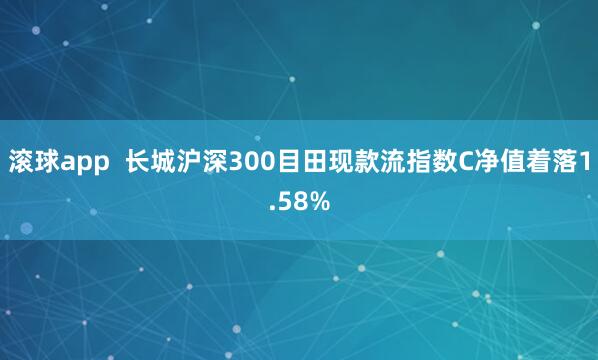 滚球app 长城沪深300目田现款流指数C净值着落1.58%